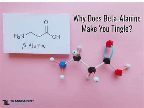 beta alanine skin tingle - does beta alanine make you tingle